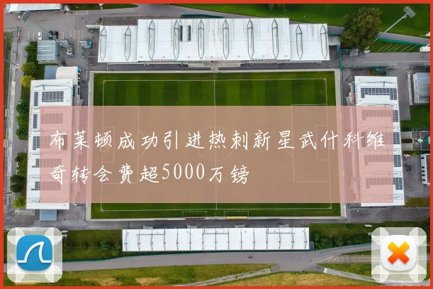 布莱顿成功引进热刺新星武什科维奇转会费超5000万镑