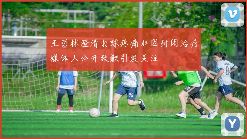 王哲林澄清打球疼痛非因封闭治疗媒体人公开致歉引发关注