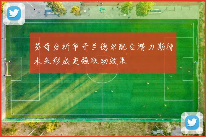 芬奇分析华子兰德尔配合潜力期待未来形成更强联动效果